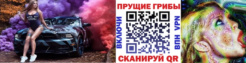 купить наркотики сайты  Чкаловск  ОМГ ОМГ ССЫЛКА  Псилоцибиновые грибы Psilocybe 